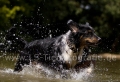 13 Wasseraction